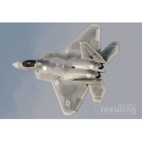 Freewing F-22 Raptor 90mm EDF Jet